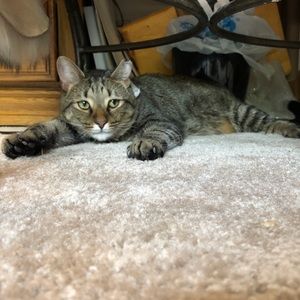 Meet your Posher, Hannah